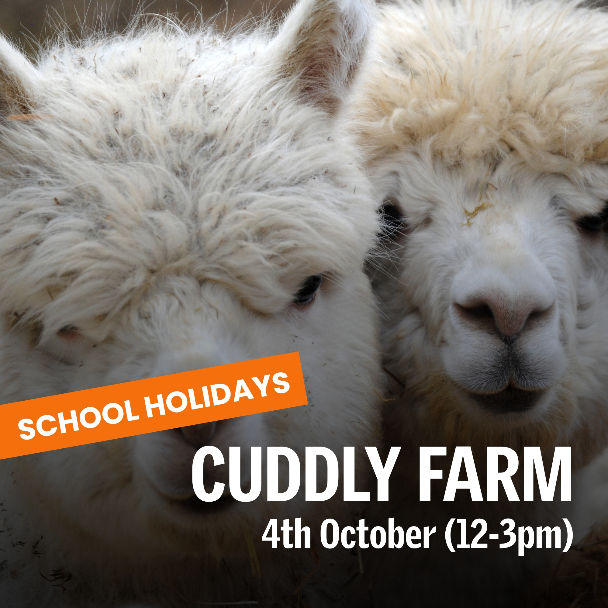 Cuddly Animal Farm