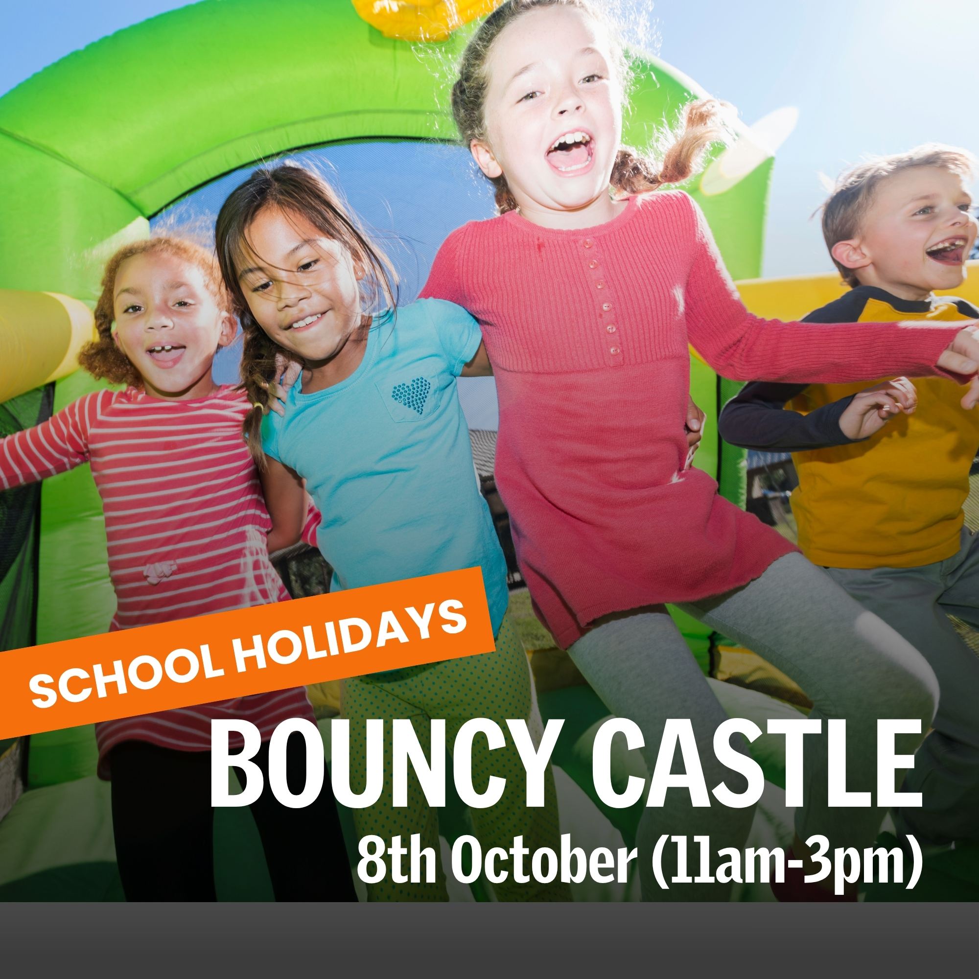 Bouncy Castle Fun