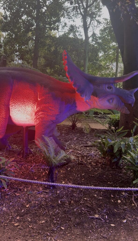 ZOOlights at Perth Zoo