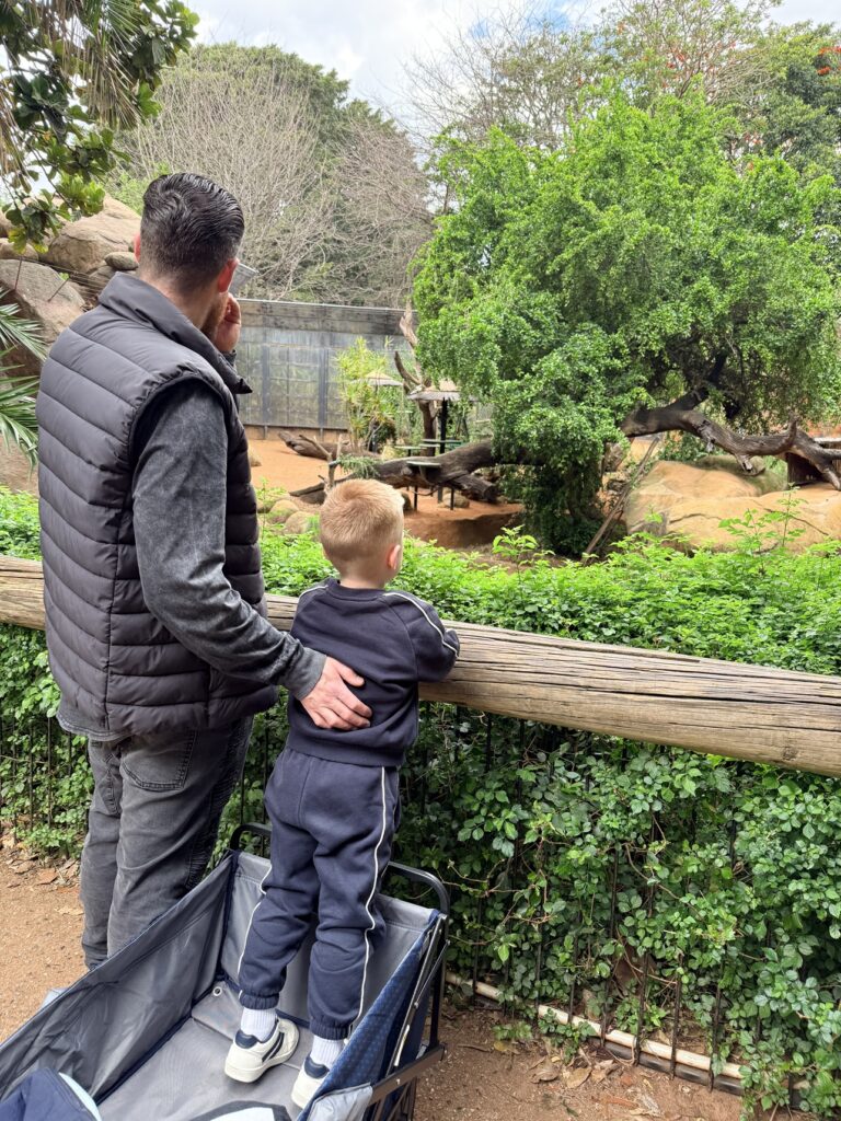 ZOOlights at Perth Zoo