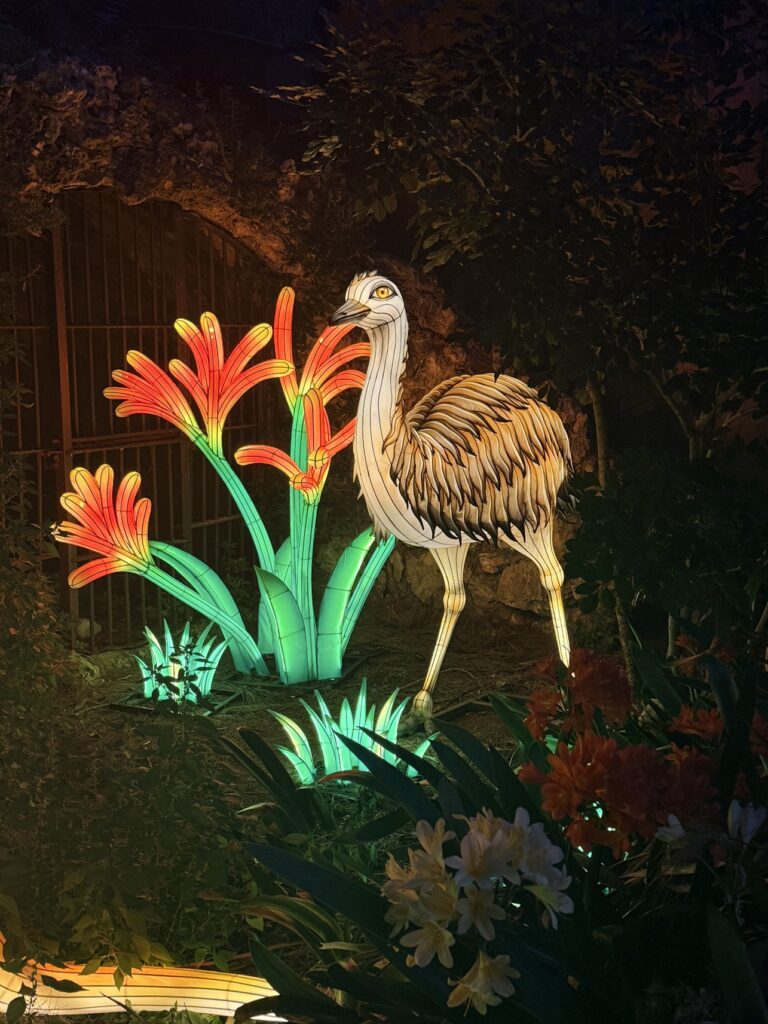 ZOOlights at Perth Zoo